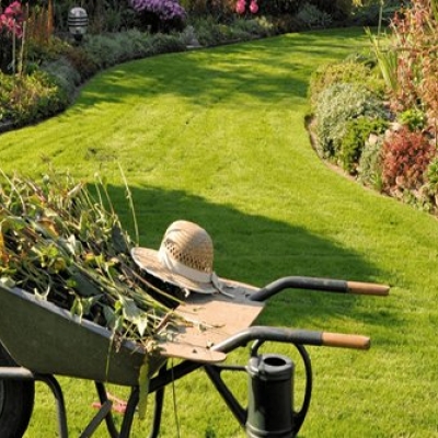 Profesyonel Bahçe Bakımı