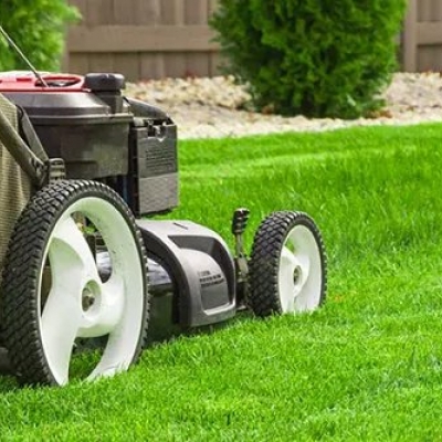 Çimlendirme ve Çim Bakımı