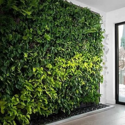 Dikey Bahçe Duvar Sistemleri