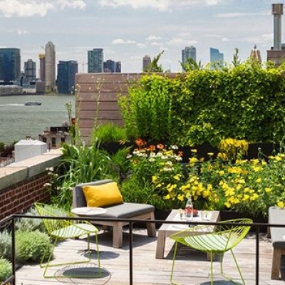 Teras ve Balkon Bahçeciliği